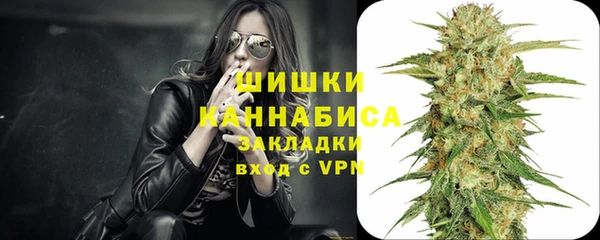 шишки Киренск