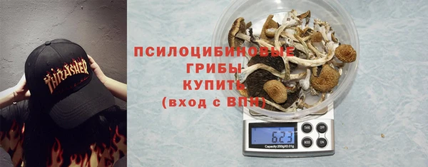 шишки Киренск