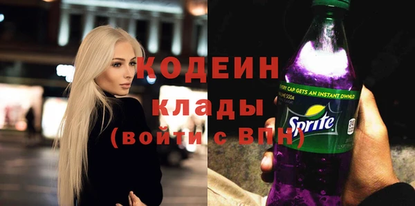 шишки Киренск