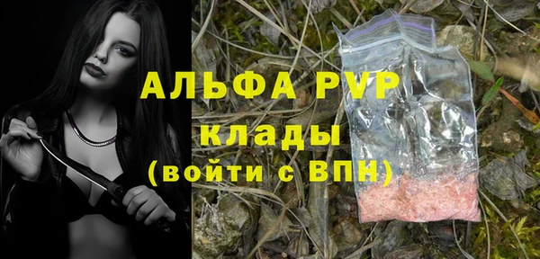 шишки Киренск