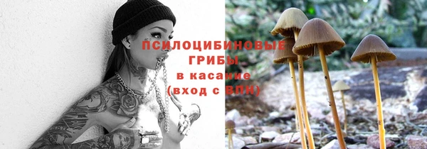 шишки Киренск