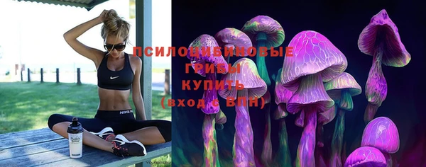 прущая мука Киреевск